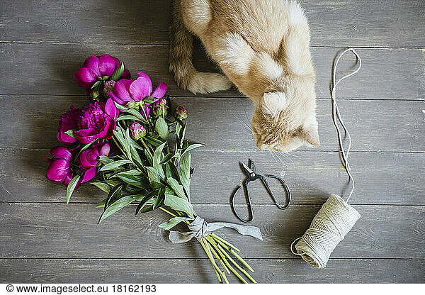Cat sitting in front of bouquet of freshly cut peonies lying on wooden surface