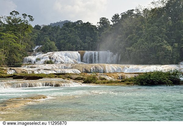 Cataratas de Agua Azul Wasserfälle des blauen Wassers Rio Yax Palenque Bundesstaat Chiapas Mexiko Mittelamerika