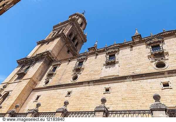Catedral de la Asunción de la Virgen. City of Jaen. Andalusia. Spain.