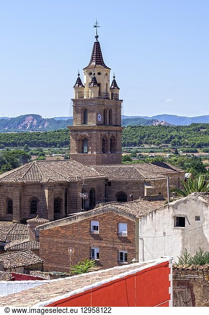 Catedral de Santa María. Calahorra. La Rioja. Spain.