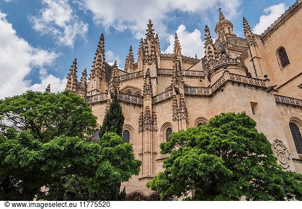 Cathedral of Segovia or called correctly in Spanish ''Saint Iglesia Catedral of Our Lady of the Asunción and of San Frutos''  placed in the main square and of Gothic style  built at the end of the XVIth century  located in the main square (Plaza Mayor) of the city of Segovia  Spain.