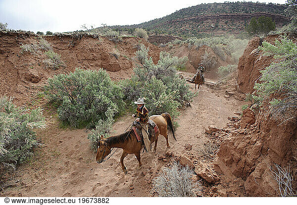 Cattle ranching  next to Canyonlands NP  UT.