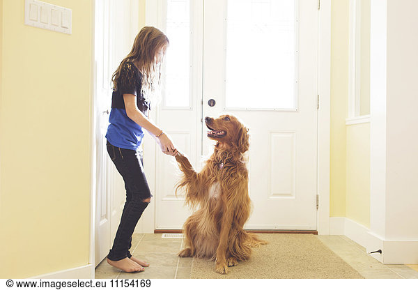 Caucasian girl training dog to shake paw