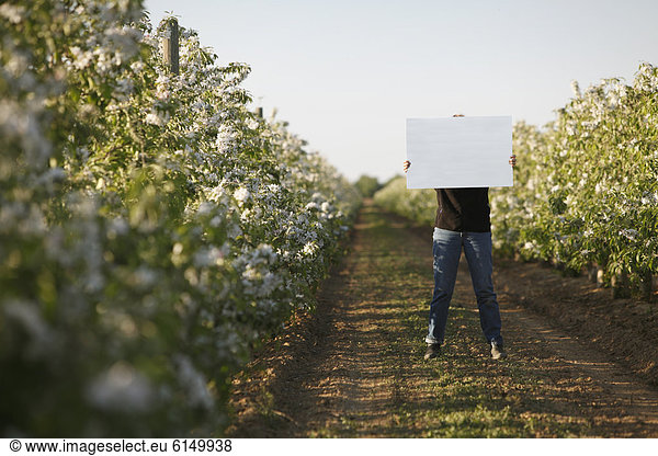 Caucasian woman holding blank placard in crop row