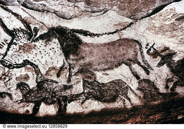 CAVE ART: LASCAUX. Running horses from the Cave of Lascaux in Montignac  France  c15 000 B.C.