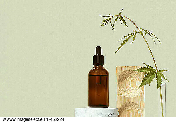 CBD oil in brown bottle with dropper  cannabis branch  hemp on podium