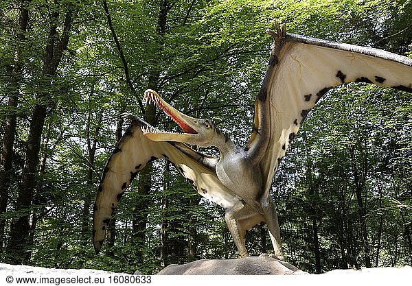 Cearadactylus   Prehistoric Park  Dino Zoo   Charbonnières -les-Sapins   Franche -Comté   France
