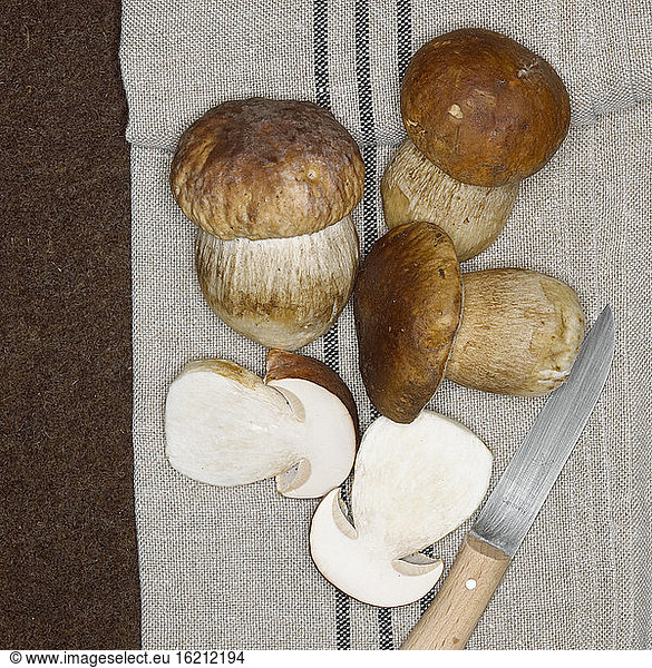 Ceps and knife  elevated view