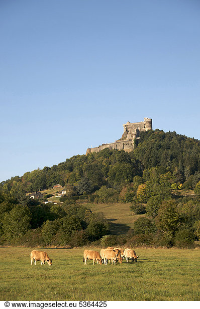Ch‚teau de Murol  Auvergne  DÈpartement Puy-de-DÙme  Frankreich  Europa