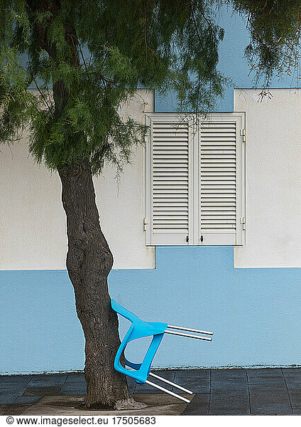 Chair leaning against tree in front of shuttered window