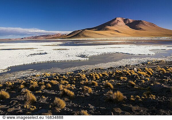 Chalviri-Salzwüste (Salar de Chalviri)  Altiplano von Bolivien