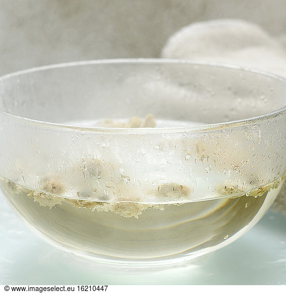 Chamomile blossoms in bowl with hot water