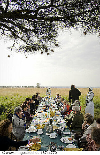 Champagne and a full English breakfast follow a sunrise hot air balloon ride  Serengeti National Park  Tanzania.