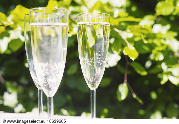 Champagne flutes on table at graduation party