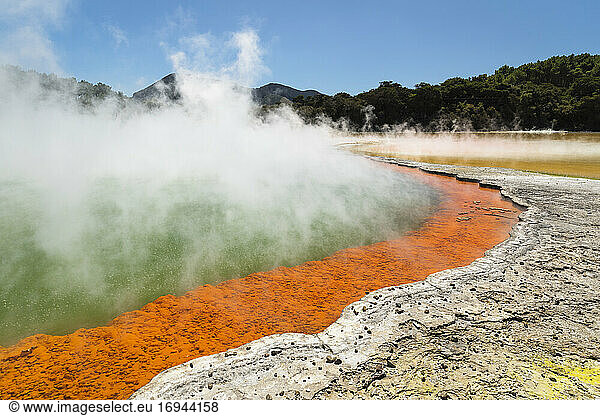 Champagne Pool  Wai-O-Tapu Thermal Wonderland  Rotorua  Bay of Plenty  North Island  New Zealand  Pacific
