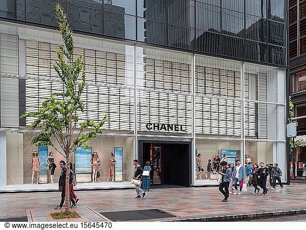 Chanel lLden  shopping mile  Ginza  Chuo City  Tokyo  Japan  Asia