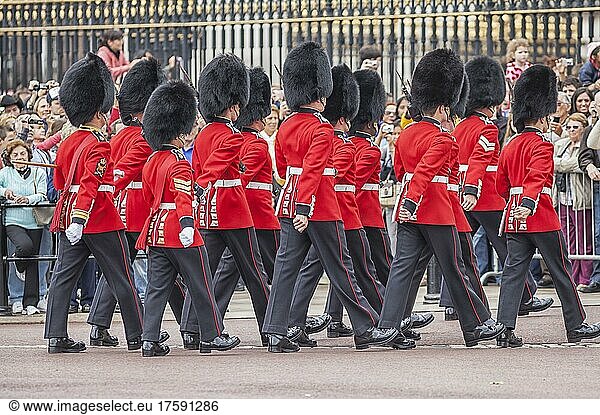 Changing of the Guard  Buckingham Palace  London  England  United Kingdom  Europe
