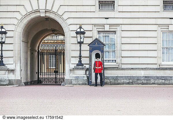 Changing of the Guard  Buckingham Palace  London  England  United Kingdom  Europe
