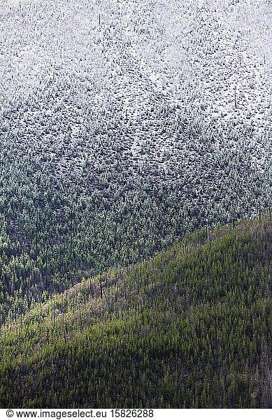 Changing seasons  winter transitons to spring in Glacier National Park