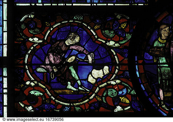 Chartres (Dép. Eure-et-Loir  France) 
Cathedral Notre-Dame 
Stained glass window/
– Cobbler sewing a shoe. Detaitl of the Saint Martin’s window
(donated by the shoemaker’s guild).
Glass painting  French  13th century.