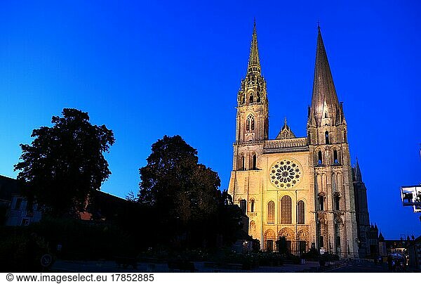Chartres  Notre-Dame de Chartres Cathedral in the dawn  Centre Region  France  Europe