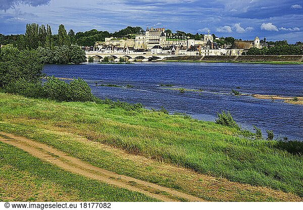 Chateau d'Amboise  Amboise  Indre-et-Loire  Loire Valley  France