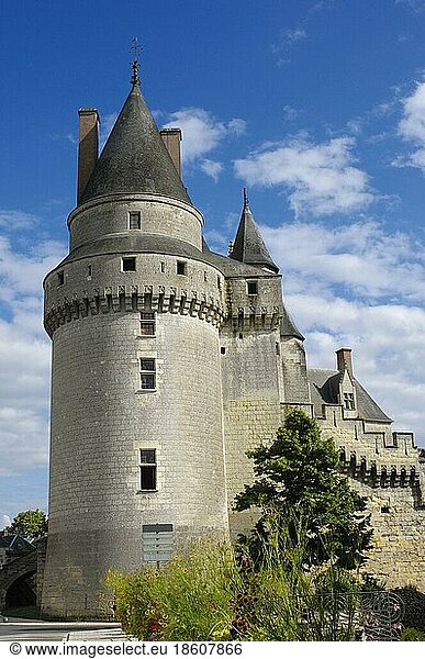Chateau de Langeais  Langeais  Pays de la Loire  Indre-et-Loire  Centre  France  Europe
