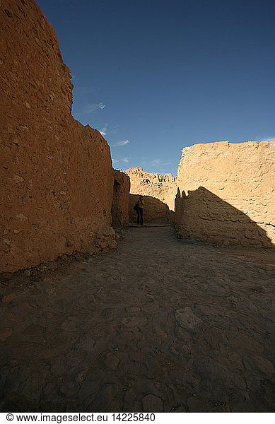 Chebika  old village and oasis  Tunisia  North Africa