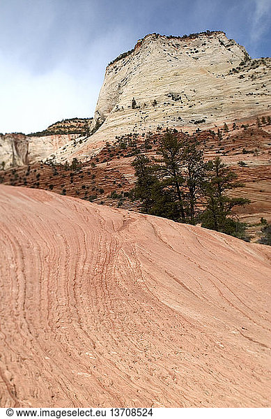 Checkerboard Mesa  a naturally sculpted sandstone mountain  in Zion National Park  Utah.