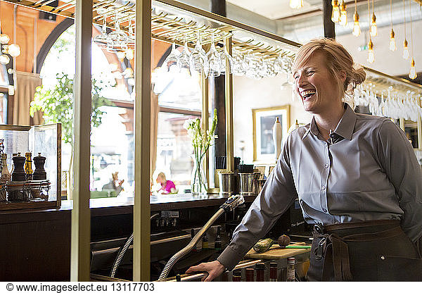 Cheerful bartender standing at counter in bar
