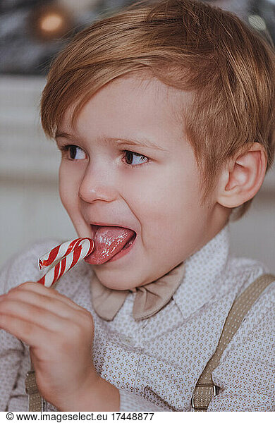 Cheerful cute boy eats candy under christmas tree.