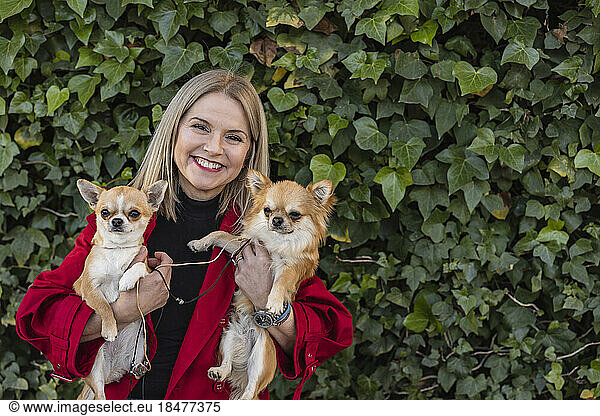 Cheerful mature woman carrying Chihuahua puppies in front of plants