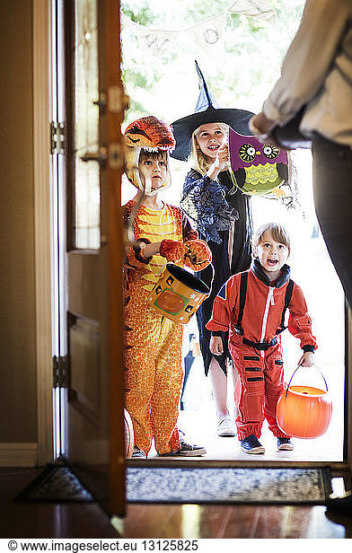 Cheerful siblings dressed for Halloween party standing at door