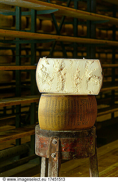 Cheese dairy master cutting a parmesan cheese wheel at the dairy