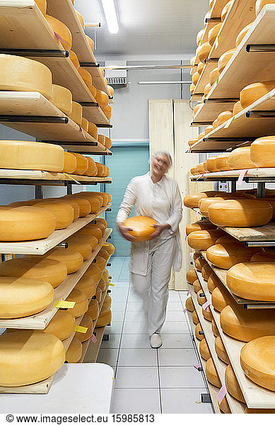 Cheese factory,  blurred female worker with cheese wheel in storeroom