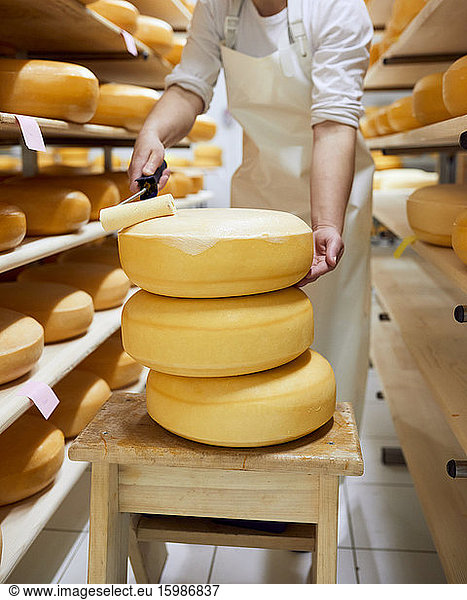 Cheese factory,  female worker spreading wax on cheese wheel