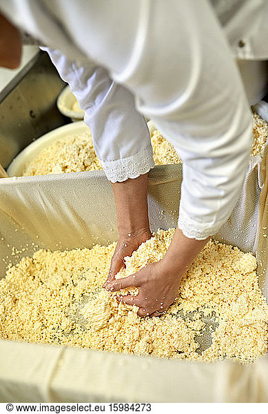 Cheese factory  female worker separating whey