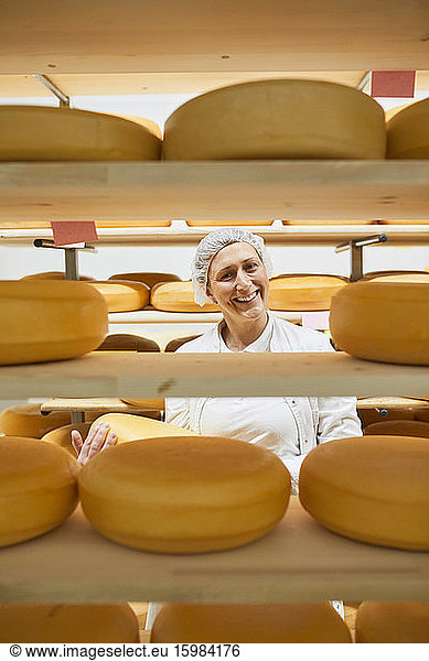 Cheese factory  female worker with cheese wheel in storeroom