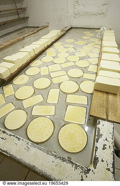 Cheese in a brine bath in Carmelo  Uruguay.