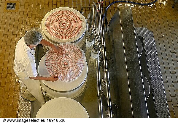 Cheese maker puts label Emmentaler on the cheese press mould Affoltern im Emmental Switzerland Europe