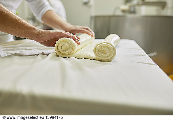 Cheese production  female worker rolling cheese  rolled layered cheese