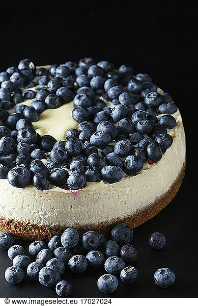 Cheesecake with fresh blueberries