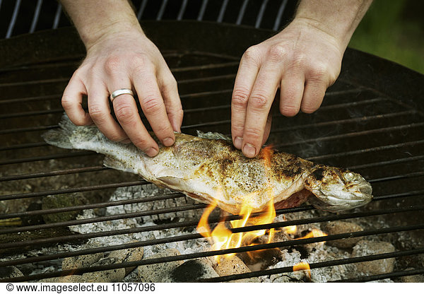 Chefkoch  der einen ganzen Fisch auf dem Grill grillt.