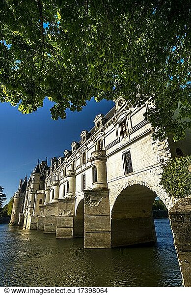 Chenonceau castle spanning the River Cher  Loire Valley  Indre et loire department  Centre-Val de Loire  France  Europe
