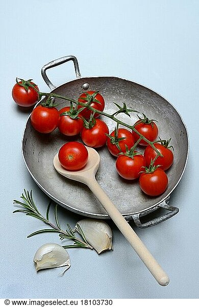 Cherry tomatoes in shell with garlic and rosemary branch  cherry tomatoes  panicle tomatoes  tomatoes on branch  Solanum lycopersicum