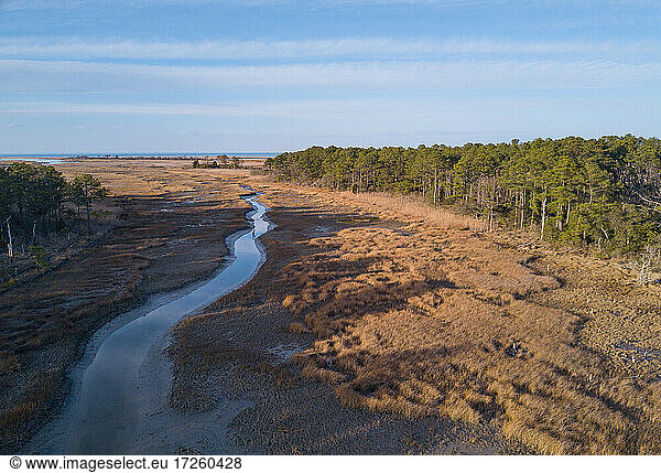 Chesapeake Bay Salzwiese und Loblolly-Kiefern Hampton Virginia Vereinigte Staaten von Amerika Nordamerika