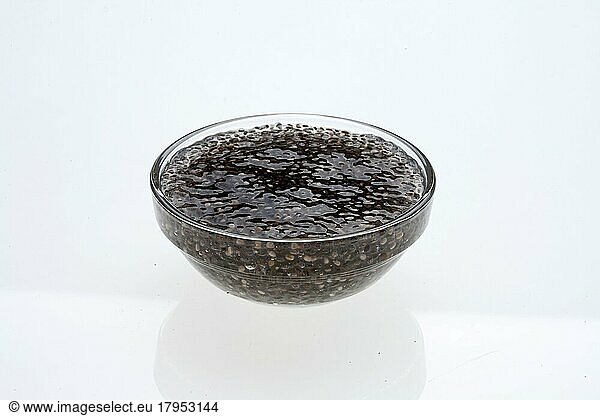 Chia-Gel  Chiasamen in Wasser eingeweicht  als Basis für Joghurt  Pudding und Smoothies verwendet