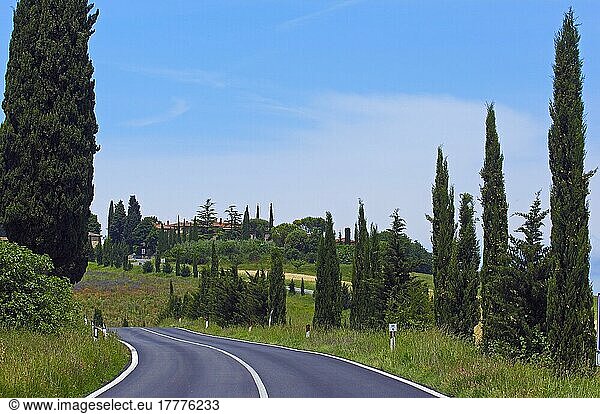 Chianti  Landschaft der Toskana  Provinz Siena  Toskana  Italien  Europa