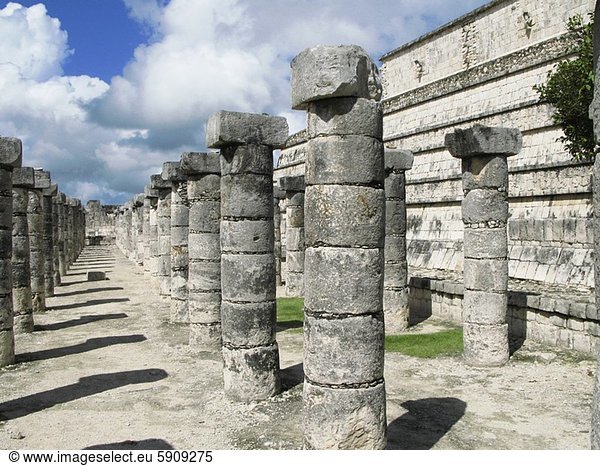 Chichen Itza  Chichen-Itza  Ruine  Säule  Mexiko  alt  Temple of Warriors  Kriegertempel  Yucatan