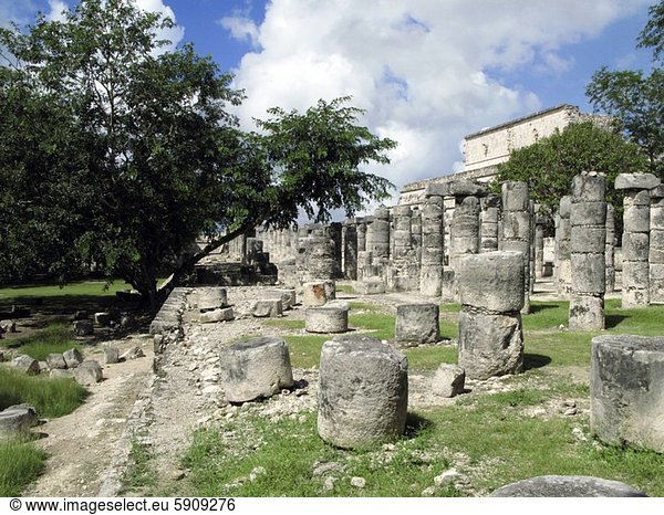 Chichen Itza  Chichen-Itza  Ruine  Säule  Mexiko  alt  Temple of Warriors  Kriegertempel  Yucatan